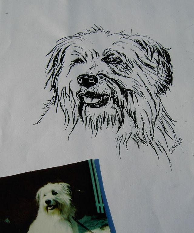 Portrait nach Foto 5